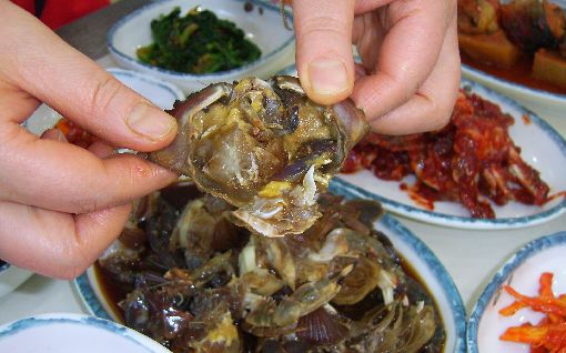 광주맛집] 동구 지산동 "동원게장백반